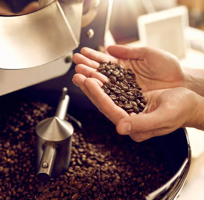 Hands holding freshly roasted coffee beans over roasting machine