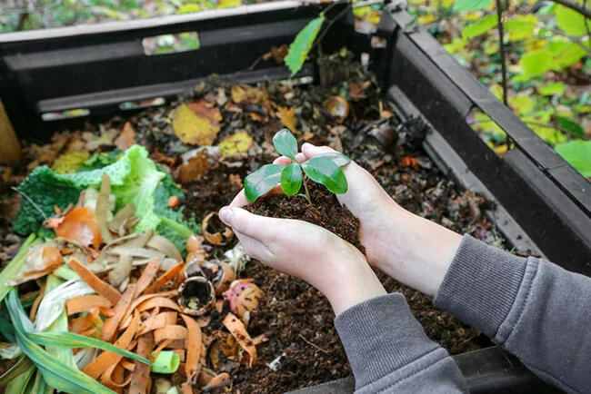 Hands holding compost above composter with organic waste