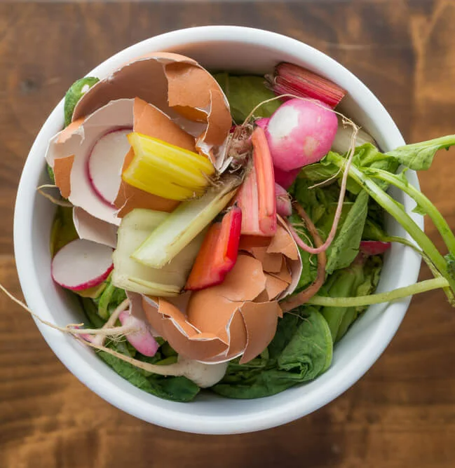 Bucket of food scraps ready for composting