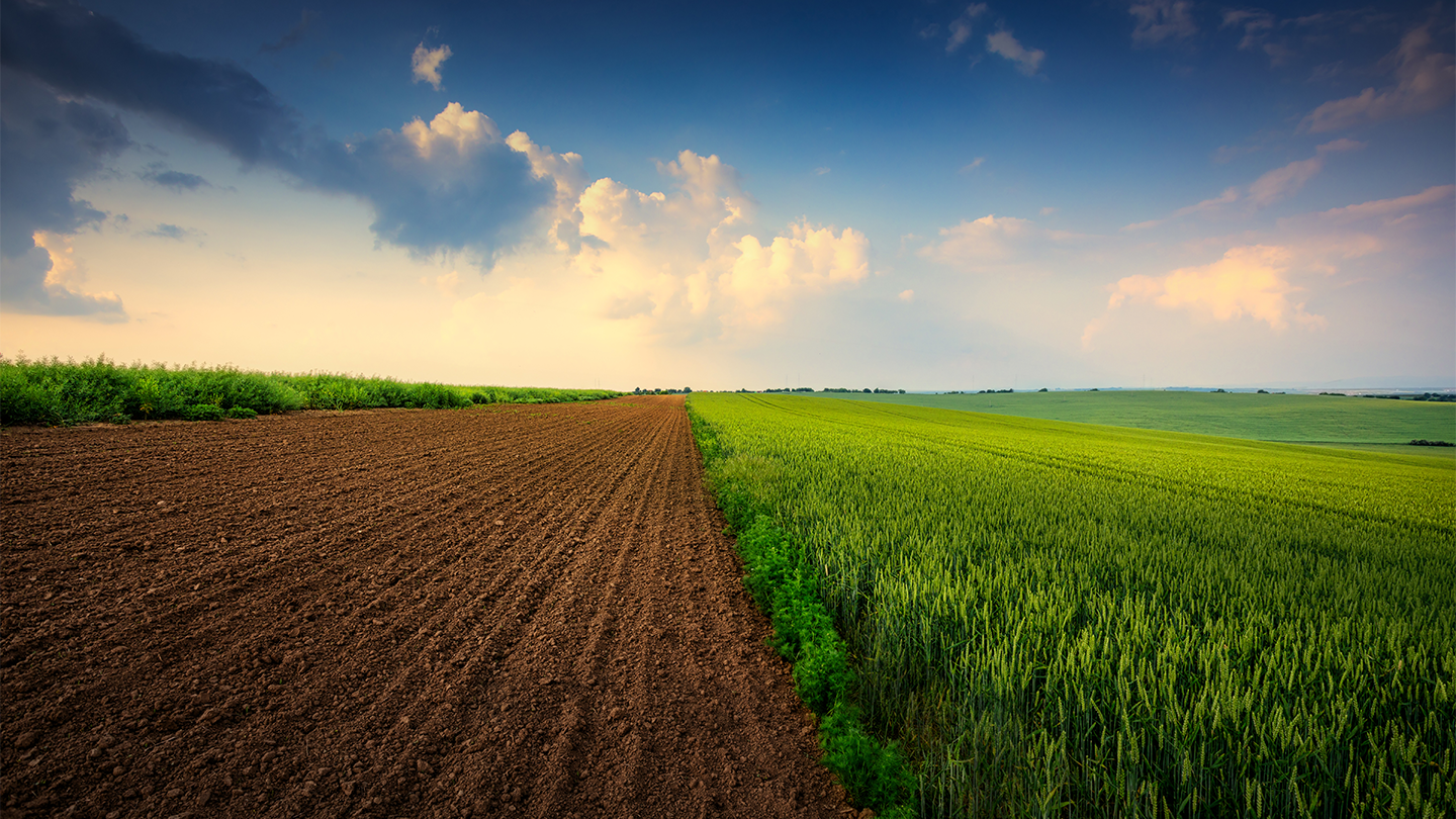 Sustainability Planetpro Banner