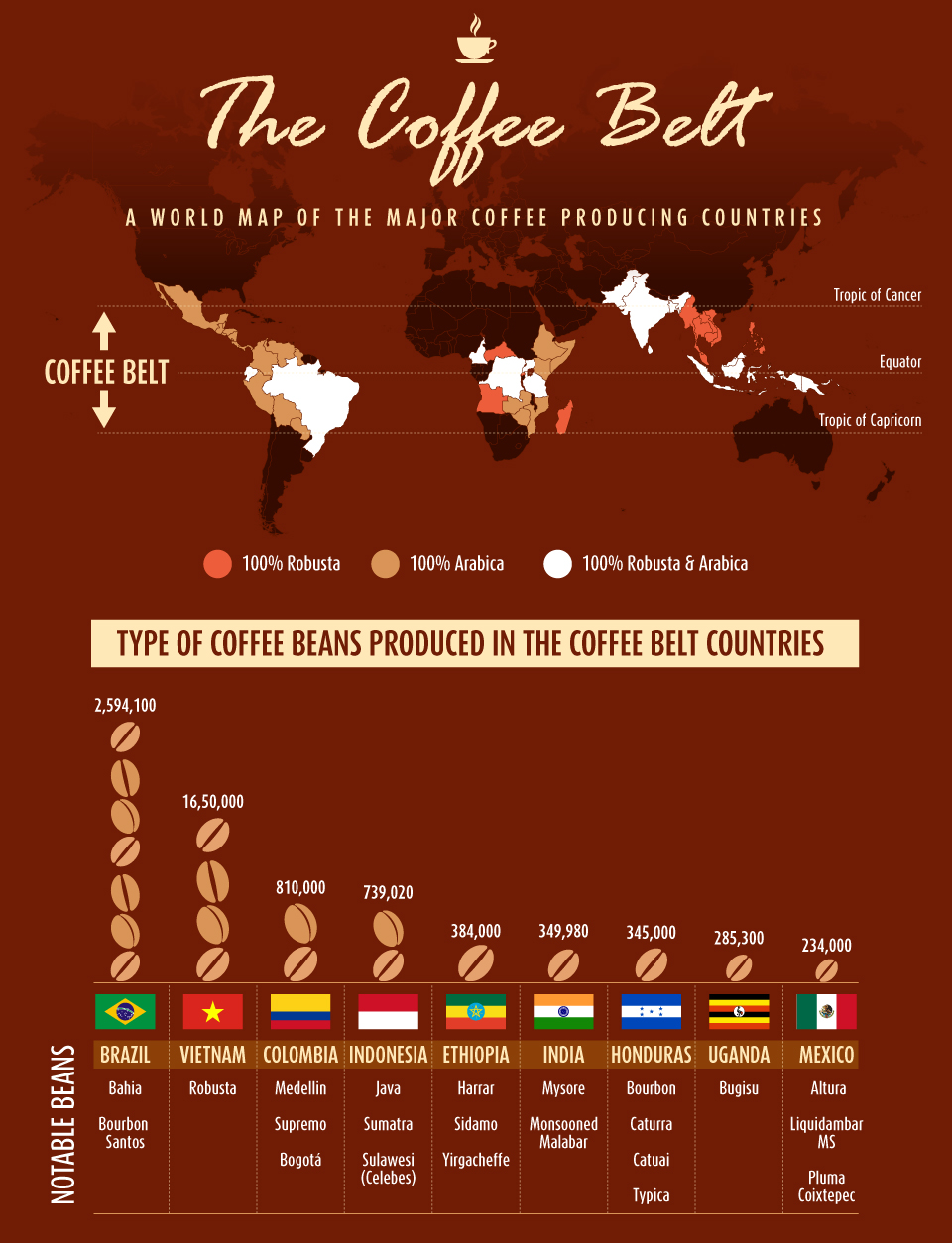 The Coffee Belt Infographic
