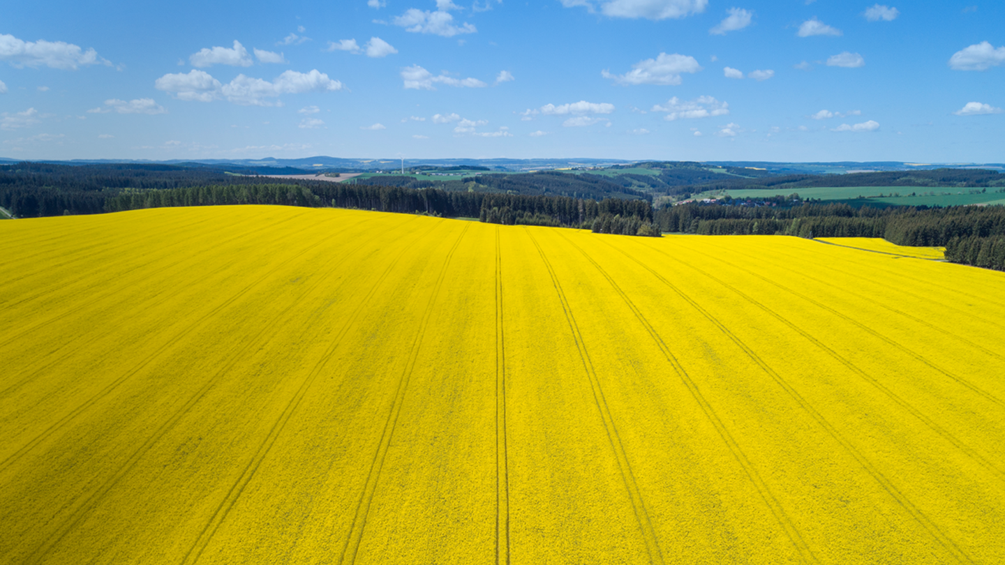 The Language of Climate Change Banner