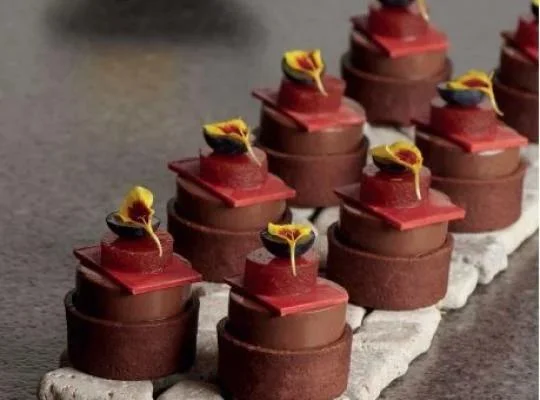 Chocolate Panna Cotta with Rhubarb Compote