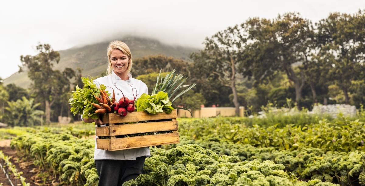 Woman collect vegetables in a farm
