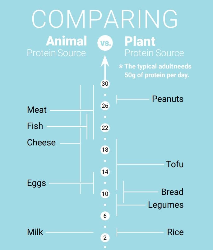 Animal vs. plant-based protein