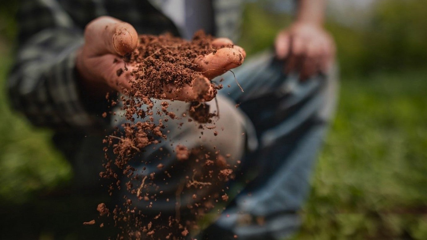 Regenerative Agriculture