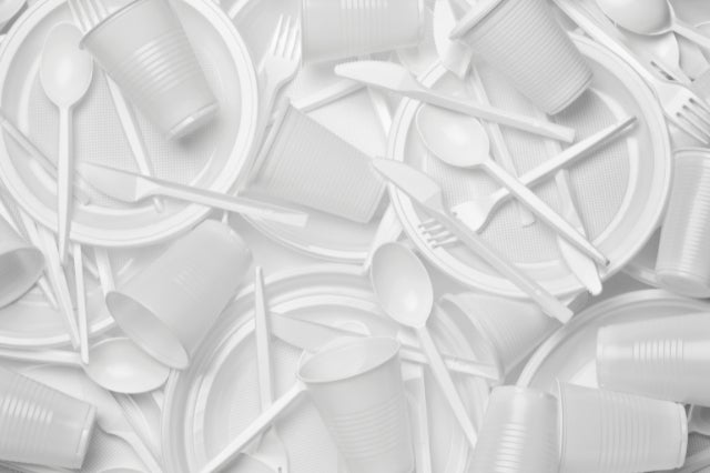 Sustainability in focus: single-use plastic bans and circularity in practice