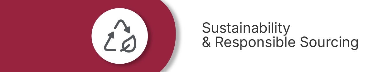 Sustainability_PubPrompts_CategoryBanner
