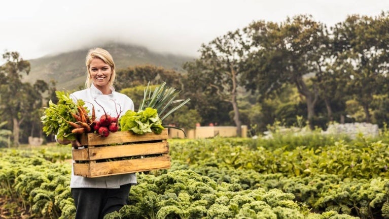 Woman collect vegetables in a farm
