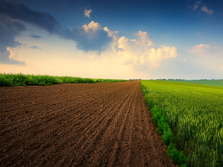 Sustainability Planetpro Banner