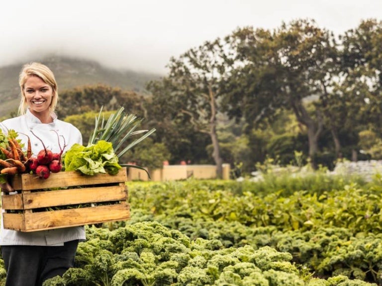 Woman collect vegetables in a farm