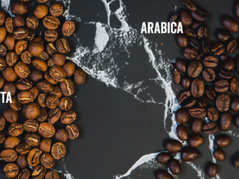 Arabica and Robusta beans