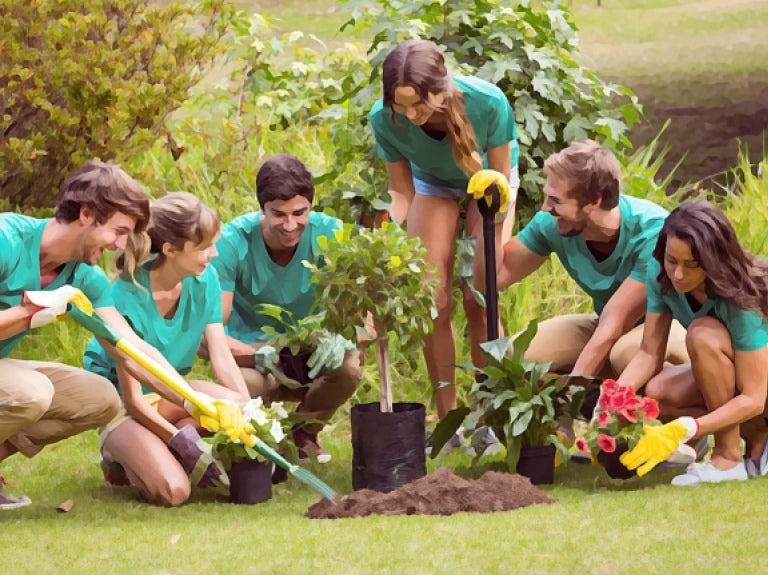 Serve your community