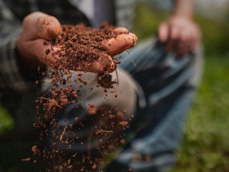 Regenerative Agriculture