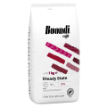 Buondi Steady State