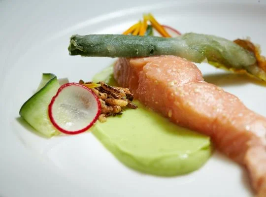 Miso cured low temperature salmon, avocado & chive, tempura zucchini flowers, cucumber ribbons, pickled radish, pickled daiko