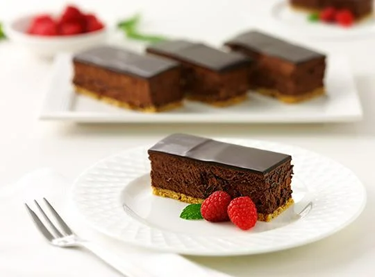 Rich Chocolate Slice