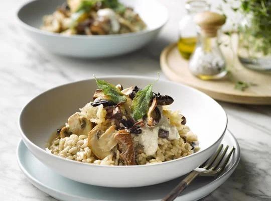Mushroom Risotto