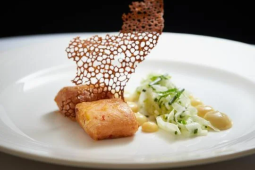 48 Degree Salmon, Red Miso Mayonnaise, Tom Yum Crisp, Fennel Citrus Salad