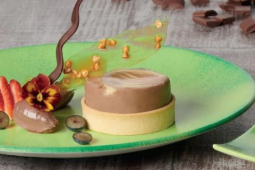 Chocolate and macadamia cheesecake