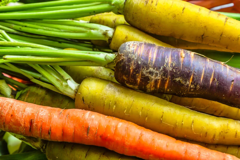 Carrots