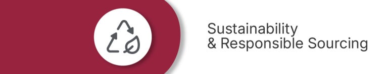 Sustainability_PubPrompts_CategoryBanner